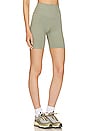 view 2 of 5 Blake Biker Short in Artichoke