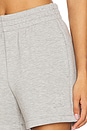 view 6 of 6 Kam Short in Heather Grey