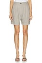 view 2 of 7 Brice Short in Taupe And Blue Pinstripe