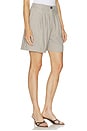 view 4 of 7 Brice Short in Taupe And Blue Pinstripe