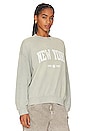 view 2 of 4 SWEAT JACI UNIVERSITY NEW YORK in Washed Faded Seafoam