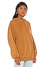 view 3 of 5 LA Eagle Hoodie in Camel