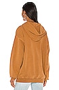 view 4 of 5 LA Eagle Hoodie in Camel