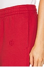 view 6 of 6 Karter Jogger in Washed Red