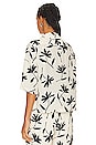 view 4 of 5 Row Shirt in Ivory Daisy Print