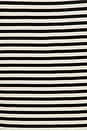 view 5 of 5 Alessia Tank in Cream & Black Stripe