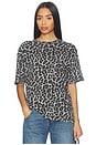 view 1 of 4 T-SHIRT COHEN in Grey Leopard
