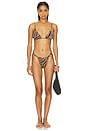 view 4 of 4 Brielle Bikini Top in Tiger Shell