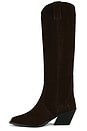 view 5 of 5 Tall Tania Boot in Dark Brown