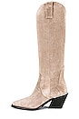 view 5 of 5 Tall Tania Boots in Ash Grey Suede