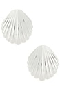 view 1 of 2 Silver Shell Earring in Silver