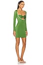 view 2 of 3 Lupine Dress in Green