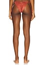 view 3 of 4 Eos Bikini Bottom in Orange