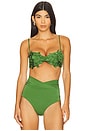 view 2 of 5 Meadow Bikini Top in Green