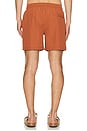 view 2 of 4 MAILLOT DE BAIN in Terrasole