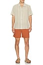 view 3 of 4 MAILLOT DE BAIN in Terrasole