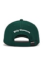 view 2 of 3 SOMBRERO CHAVARRIA  in Collegiate Green