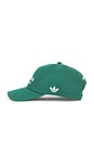 view 5 of 4 CHAPEAU CHAVARRIA  in Collegiate Green