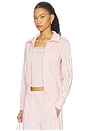 view 3 of 5 Firebird Lace Track Top in Sandy Pink