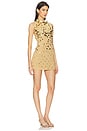 view 2 of 4 Alex Embroidered Mini Dress in Gold Sequin