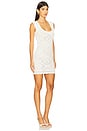 view 3 of 4 Eve Crochet Mini Dress in Stone & Salt