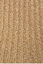 view 5 of 5 Colette Corset in Biscuit Sequin