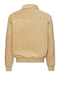 view 2 of 5 Blouson Gilles in Camel