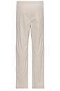 view 2 of 4 PANTALON in Light Grey