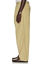 view 2 of 5 Ricky Pant in Dark Beige