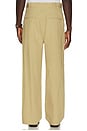 view 3 of 5 Ricky Pant in Dark Beige