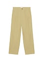 view 5 of 5 Ricky Pant in Dark Beige