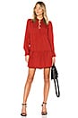 view 1 of 3 Jones Dress in Brique