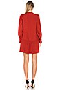 view 3 of 3 Jones Dress in Brique