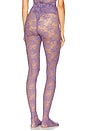 view 3 of 4 Lace Stocking in Grape