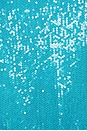 view 4 of 4 Sleeveless Sequined Gown in Blue