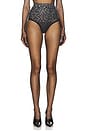 view 1 of 6 Crystal Mesh Brief in Black