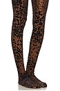 view 6 of 7 Leopard Burnout Mesh Stocking in Tobacco