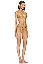 view 2 of 4 Translucid Bikini Set in Gold
