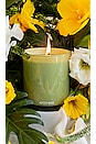 view 3 of 3 Saffron Vanilla Signature Candle in 