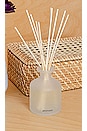 view 3 of 3 Apricot Red Currant Reed Diffuser in 