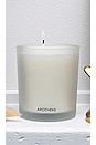 view 2 of 2 White Vetiver Signature Candle in 