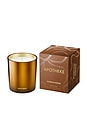 view 1 of 3 Pumpkin Ginger Classic Candle in 