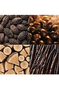 view 4 of 3 Cardamom Chestnut Reed Diffuser in 