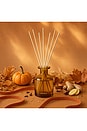 view 2 of 3 Pumpkin Ginger Reed Diffuser in 
