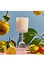 view 2 of 3 Classic Candle in Bergamot Tangerine