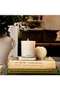 view 3 of 3 Classic Candle in Bergamot Tangerine