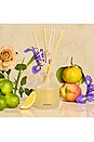 view 2 of 5 Reed Diffuser in Canvas