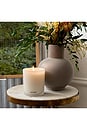 view 3 of 3 Classic Candle in Hinoki Lavender