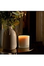view 3 of 4 3-Wick Candle in Santal Rock