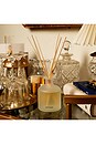 view 3 of 5 Reed Diffuser in Sea Salt Grapefruit